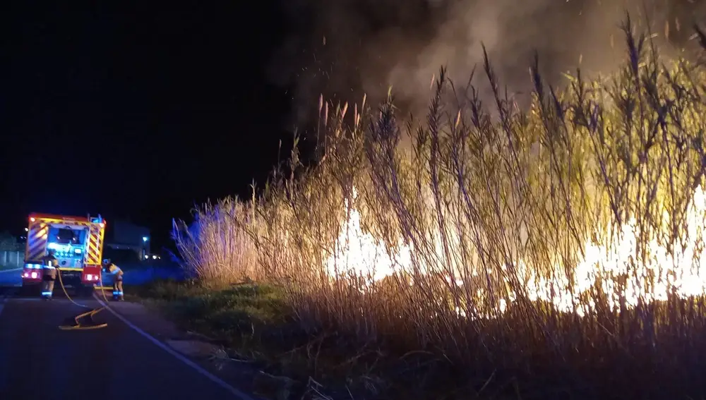 Bomberos del CEIS apagan un incendio de cañas en la ribera del río Segura en Cieza (Murcia)