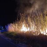 Bomberos del CEIS apagan un incendio de cañas en la ribera del río Segura en Cieza (Murcia)