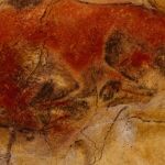 Un bisonte en Altamira