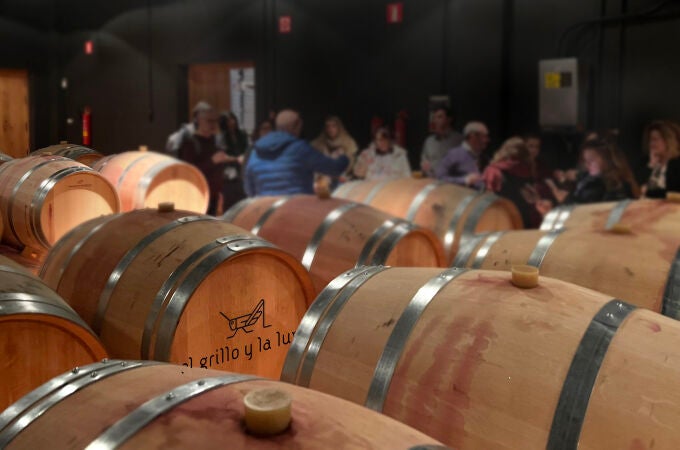 Sala de barricas de la bodega El Grillo y La Luna