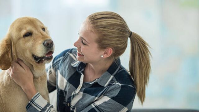 Un veterinario afirma que los perros se sienten 'rechazados' cuando no se les permite hacer una cosa