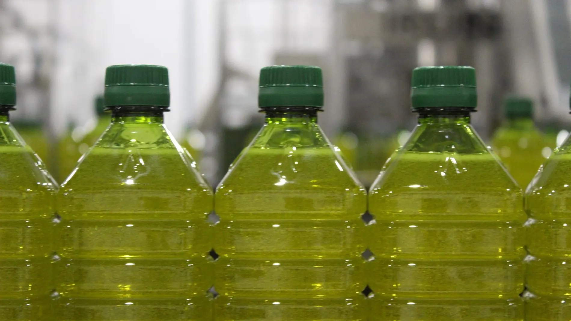 Facua denuncia que seis grandes cadenas continúan pactando los precios del aceite de oliva