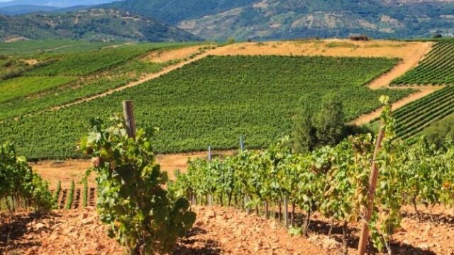 La Toscana ibicenca: la localidad de Ibiza que esconde bogedas y viñedos