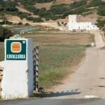 De finca en finca: así es la ruta del queso de Menorca