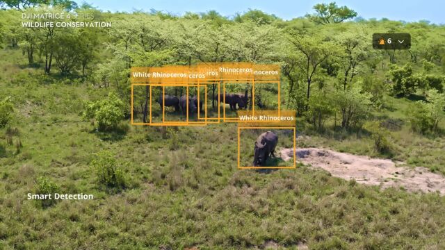El dron permite identificar cuántos y qué tipos de animales detecta la cámara