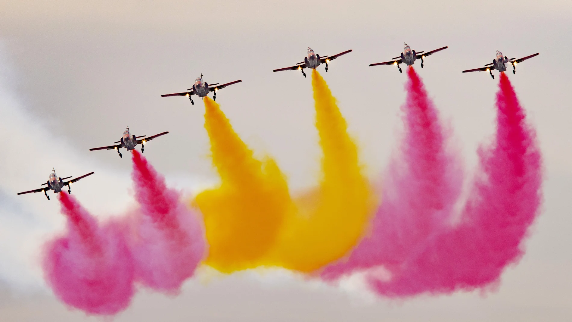 Patrulla águila