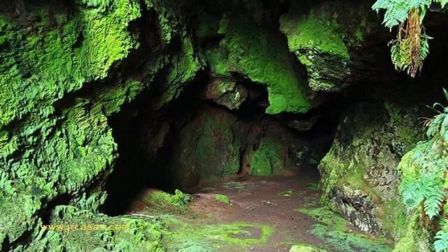 Así es la cueva de la Ribeira Sacra que deslumbra por su musgo brillante