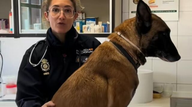 La agente con la mascota durante el vídeo de aviso
