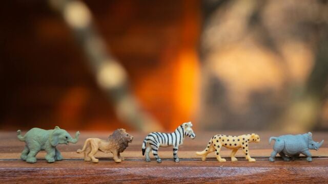 Animales en fila