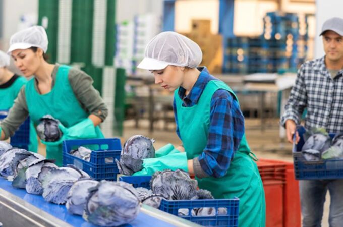 Ofrecen 20 vacantes para trabajar en un pueblo de Toledo: se paga a más de 12 euros la hora