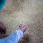 ¿Para qué sirve la cáscara de arroz en los coches?