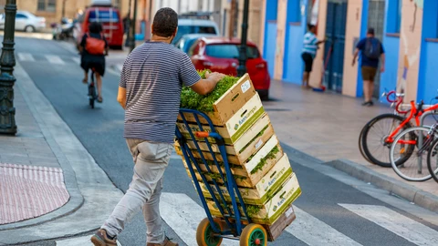 Repartidor de Alimentos