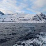 Ártico. Noruega. Bacalao skrei.
