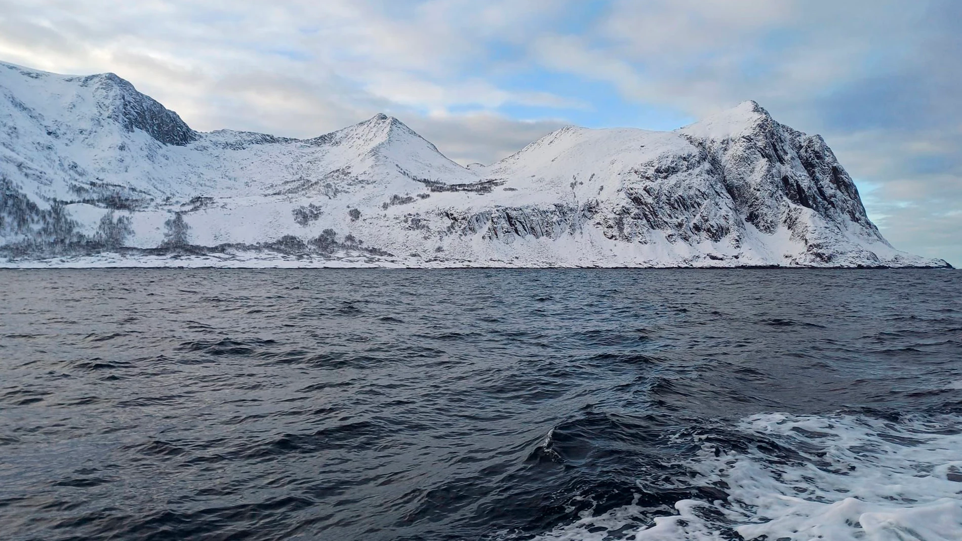 Ártico. Noruega. Bacalao skrei.