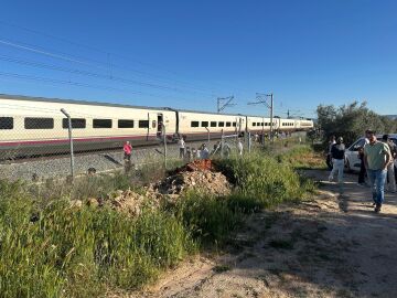 AVE parado en Mora