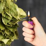 Quemar hojas de laurel en casa es un tesoro para la vida