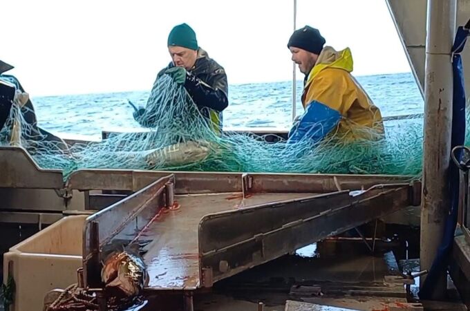 Pescadores. Ártico. Noruega. Bacalao skrei.