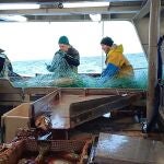 Pescadores. Ártico. Noruega. Bacalao skrei.