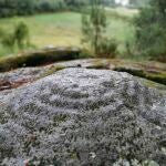 Así es el proyecto que conserva más de 3.000 petroglifos de Galicia