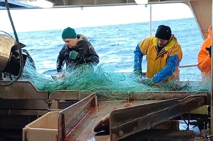 Dentro del buque en el que navegamos a través del mar de Noruega para pescar bacalao skrei. Pescadores trabajan con redes en la jornada de pesca