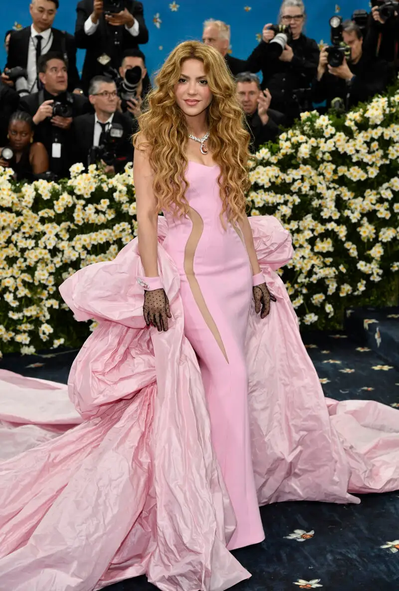2025 MET Museum Costume Institute Benefit Gala