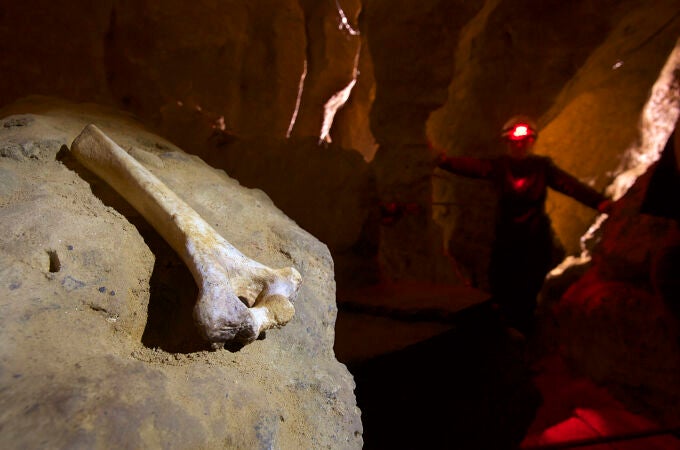  Cueva del Sidrón (Asturias), donde se encontraron trece esqueletos neandertales