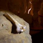  Cueva del Sidrón (Asturias), donde se encontraron trece esqueletos neandertales