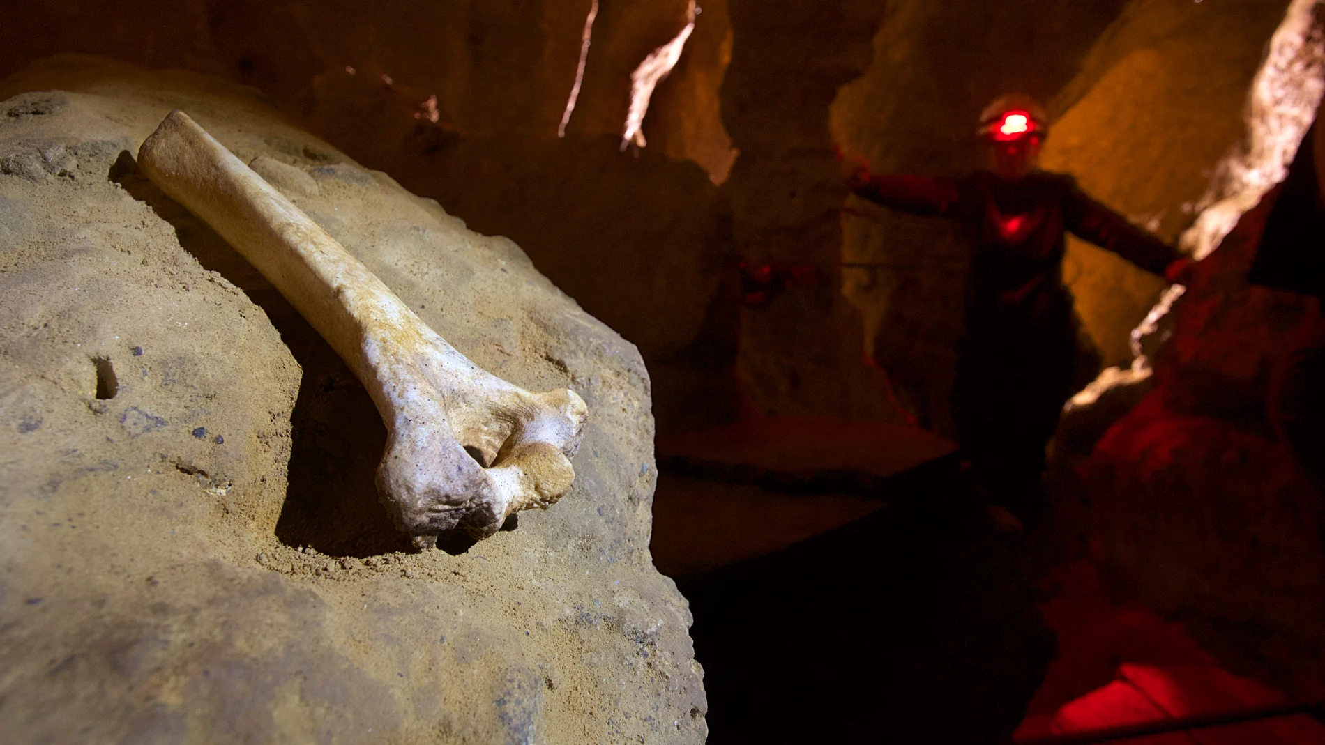 Cueva del Sidrón (Asturias), donde se encontraron trece esqueletos neandertales