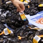 Mercadona prevé comprar más de 280 toneladas de clóchina valenciana en 2025