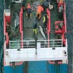 Imagen difundida por la organización ecologista. 