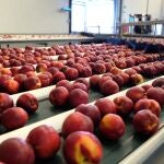 La producción industrial sube un 7 por ciento en marzo en Murcia, 1,5 puntos menos que la media nacional