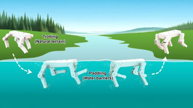 Se han probado tres tipos distintos de movimientos en agua