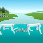 Se han probado tres tipos distintos de movimientos en agua