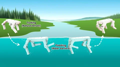 Se han probado tres tipos distintos de movimientos en agua