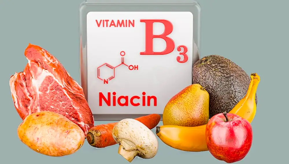 Alimentos ricos en niacina