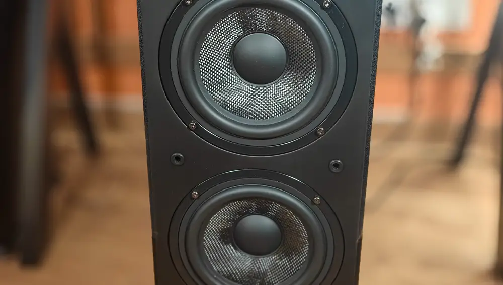 Detalle de los dos woofers que hay en cada altavoz