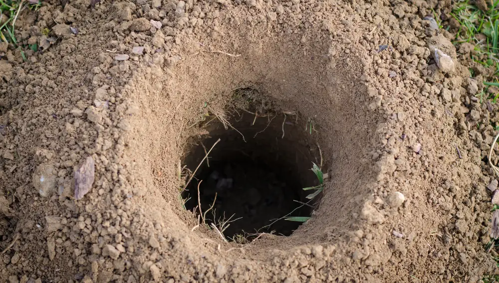 ¿Tienes agujeros en tu jardín? Así puedes identificar de qué animal se trata