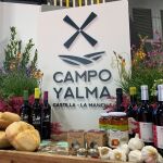 Descubre cuáles son los mejores quesos y vinos elaborados en Castilla-La Mancha