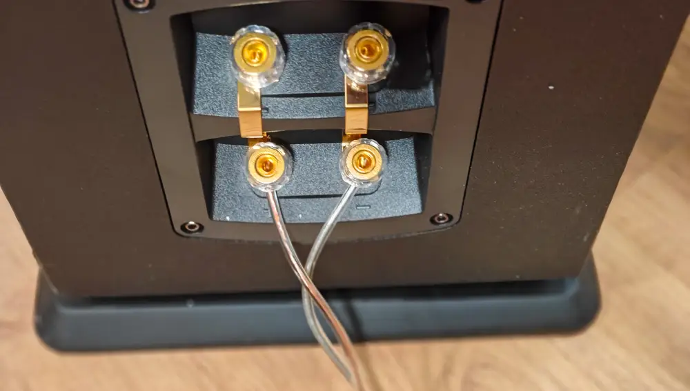 Detalle de las conexiones eléctricas al amplificador