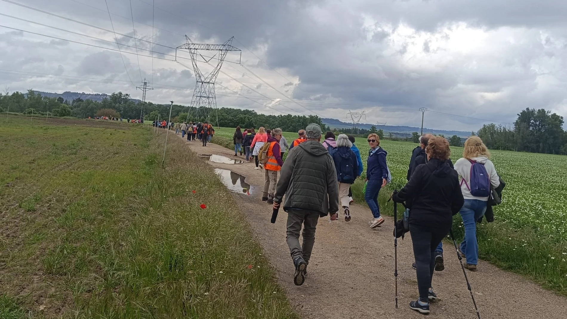 Paseos Saludables organizados por la Diputación de Valladolid