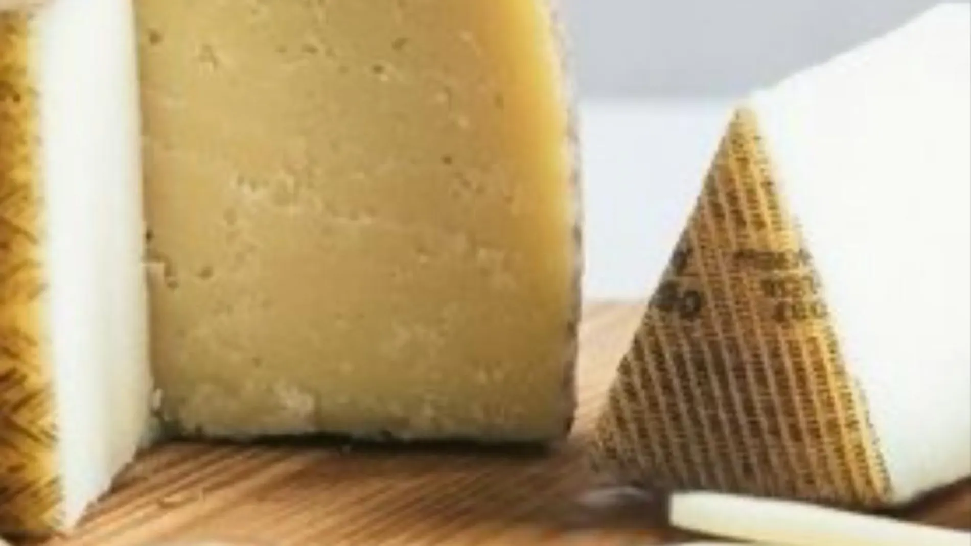 Descubre cuáles son los mejores quesos manchegos y vinos elaborados en Castilla-La Mancha