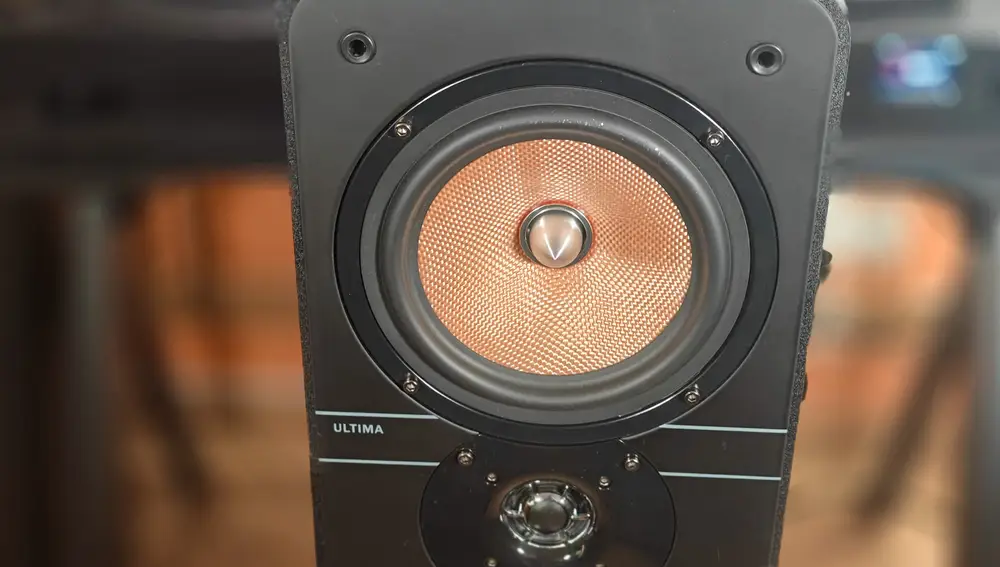 Detalle del midwoofer (dorado) y del tweeter con guía de ondas (debajo)