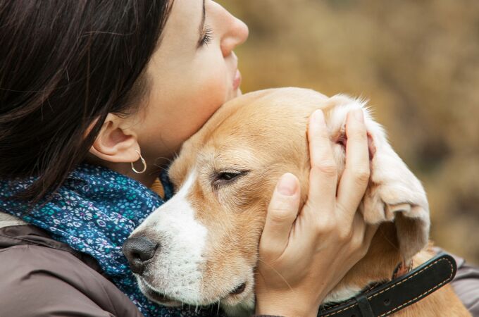 Esto es lo que siente tu perro al verte llorar según la ciencia