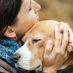 Esto es lo que siente tu perro al verte llorar según la ciencia