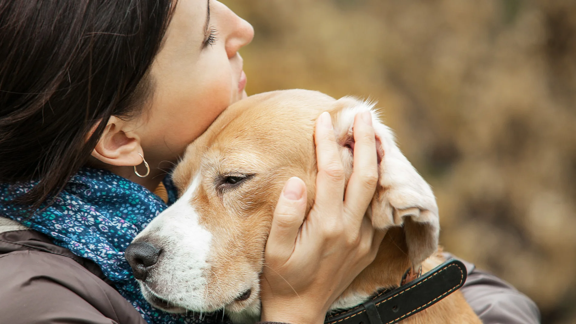 Esto es lo que siente tu perro al verte llorar según la ciencia