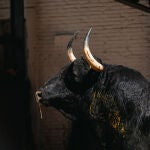 Estos son los espectaculares toros de Victoriano del Río para descorchar la feria de San Isidro