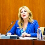 La consejera de Economía y portavoz del Gobierno andaluz, Carolina España