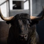 Estos son los ofensivos toros elegidos para la séptima del abono de Madrid