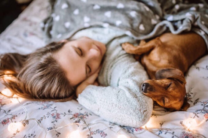 Dormir con un perro o con un gato: que recomiendan los veterinarios y qué opción es mejor para la salud