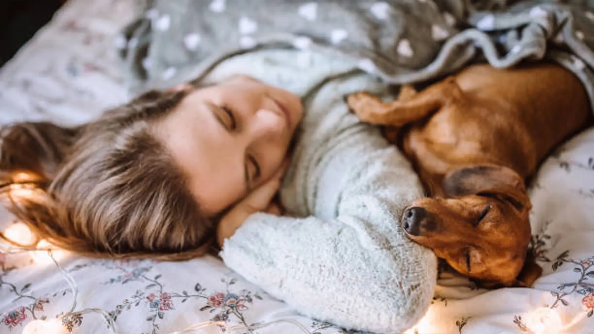 Dormir con un perro o con un gato: que recomiendan los veterinarios y qué opción es mejor para la salud